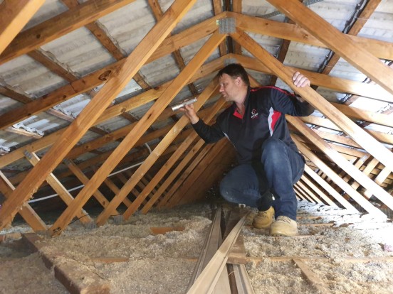 Pest Control Brisbane  - New Home Pest Inspections