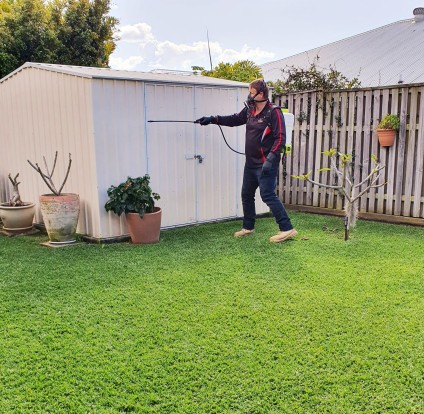 Pest Control Brisbane - Residential